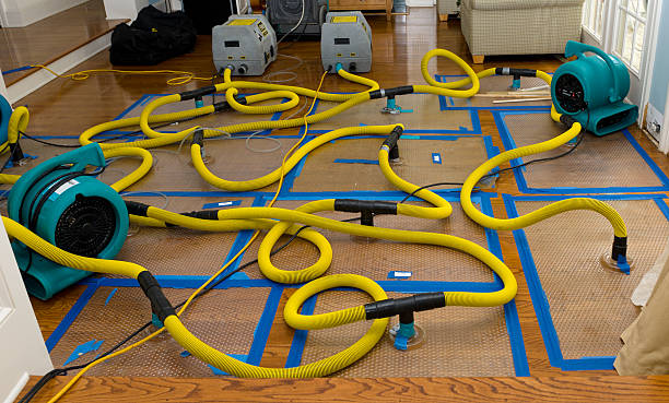 Professional Structural Drying And Dehumidification technician working in Ames, IA